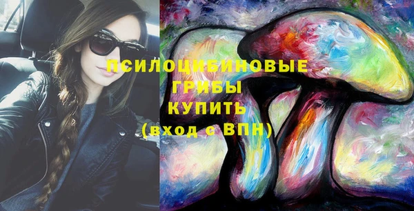 PSILOCYBIN Корсаков