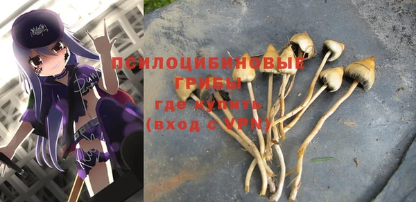 соль ск Коряжма