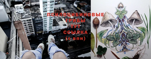 соль ск Коряжма