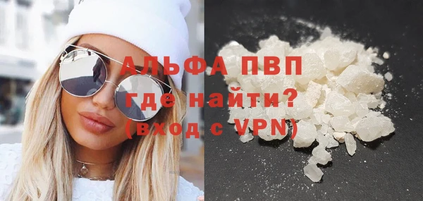 PSILOCYBIN Корсаков