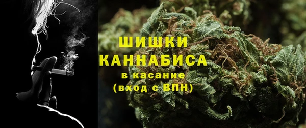 PSILOCYBIN Корсаков