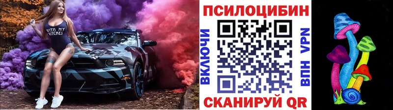 Псилоцибиновые грибы Psilocybe  где купить   darknet телеграм  Мещовск 